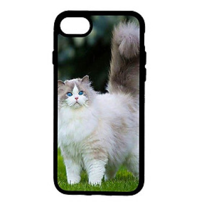 Ốp lưng cho điện thoại Iphone 7 mẫu CB 24 - Hàng chính hãng