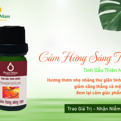 Tinh dầu Cảm Hứng Sáng Tạo Peace Mass dùng cho máy xông 10ml