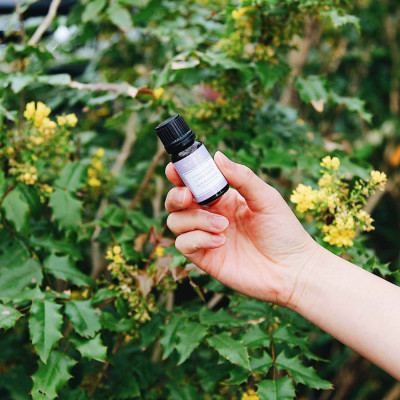 Tinh dầu oải hương - Pure essential oil 10 ml - LAVENDER