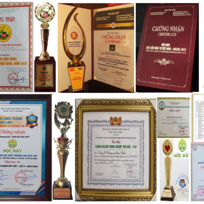 Tinh dầu Gừng 10ml nguyên chất từ thiên nhiên - Mộc Mây