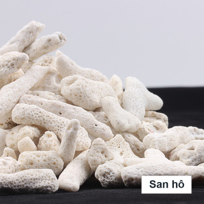 Xốp Lọc Bể Cá 90x 30cm + San Hô Vụn 1KG vật liệu lọc nước, trang trí bể cá