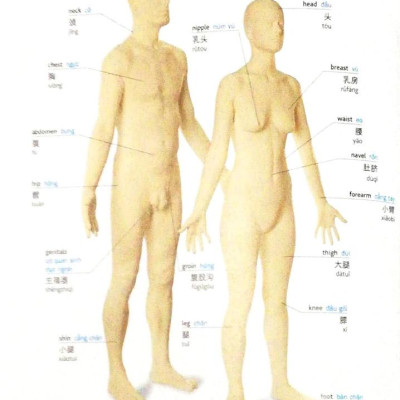 Visual English Vietnamese Chinese Trillingual Dictinonary