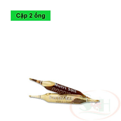 Vi sinh dưỡng nền Prodibio BacterKit Soil khởi tạo setup bể thủy sinh cá tép cảnh