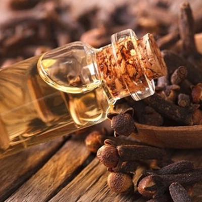 Tinh dầu Nụ Đinh Hương nguyên chất 100% từ thiên nhiên - KingOil