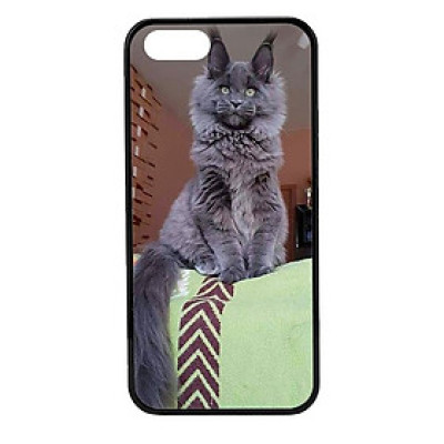 Ốp lưng cho điện thoại Iphone 5 CB 24 - Hàng chính hãng