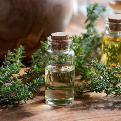 Tinh dầu Cỏ Xạ Hương (Thyme Essential Oil) nguyên chất từ thiên nhiên - KingOil