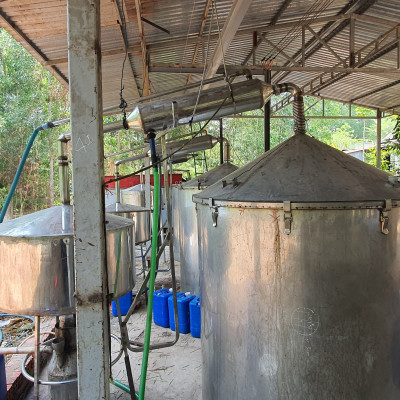 Tinh dầu Dứa (thơm, khớm) 50ml Mộc Mây - tinh dầu thiên nhiên nguyên chất 100% - chất lượng và mùi hương vượt trội - Có kiểm định - Mùi nhiệt đới, mát, ngọt ngào, sản khoái...mùi của tuổi trẻ và sự thư giản