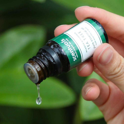 Tinh dầu tràm trà - Pure essential oil 10 ml - TEA TREE