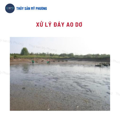 Men vi sinh hạt xử lý đáy thối nước dơ khí độc nước đục diệt rong Probac gây màu tảo khuê trà tôm thẻ cá lươn ếch ốcbaba
