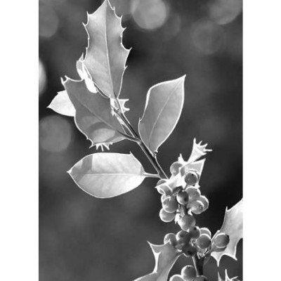 Sức Mạnh Lòng Kiên Nhẫn (Tái Bản)