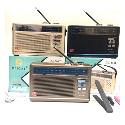 ĐÀI FM Radio DC-666BT- Bluetooth Đa Chức Năng Loa To Sang Trọng -Hàng Chính Hãng BH:12Tháng