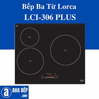 BẾP 3 TỪ LOCAR LCI-306 PLUS. Hàng Chính Hãng 