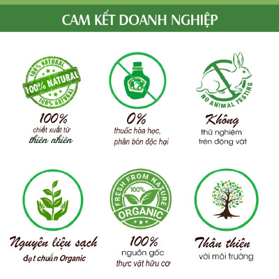 Tinh dầu Húng Quế nguyên chất 100% từ thiên nhiên, xông phòng, khử mùi, thơm phòng, đuổi muỗi - KingOil