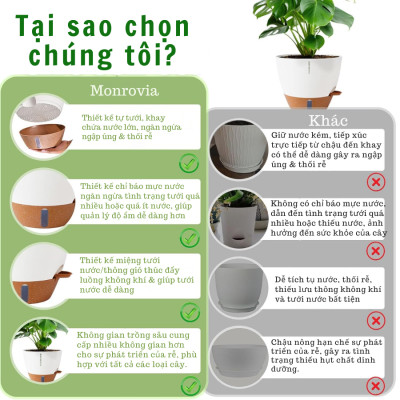 Chậu trồng cây tự tưới thông minh Monrovia A60 cho cây trong nhà và ngoài trời, decor, văn phòng