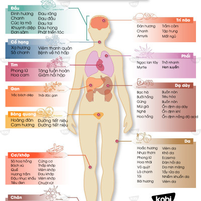 Tinh Dầu Sả Chanh Đuổi Muỗi Kobi, Dùng Lau Sàn Nhà, Giúp Khử Mùi, Thơm Phòng (30ml)