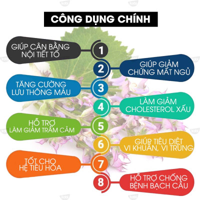 Tinh Dầu Đơn Sâm Kobi Clary Sage Essential Oil Giúp Ngăn Ngừa Viêm Nhiễm, Chống Trầm Cảm Hiệu Quả