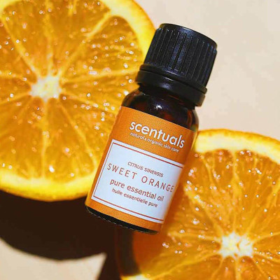 Tinh dầu cam ngọt - Pure essential oil 10 ml - SWEET ORANGE