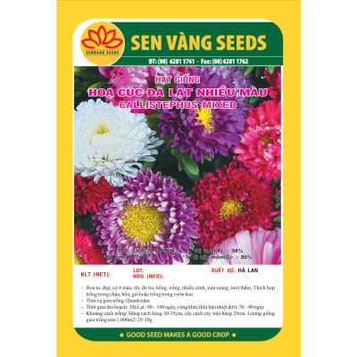 Hạt giống hoa cúc Đà Lạt nhiều màu VTS04