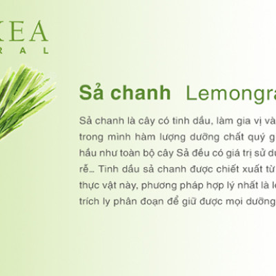 Tinh Dầu Sả Chanh Biyokea (100ml)